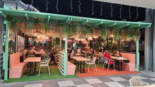 Mr. Kale en Las Palmas de Gran Canaria