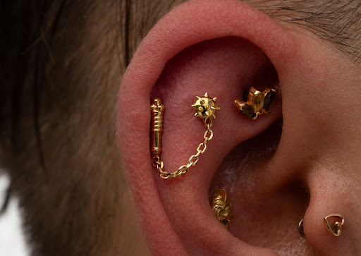 Explore small dinosaur tattoo ideas, creative tattoo ideas in Roanoke, available at Clove Piercing & Fine Jewelry