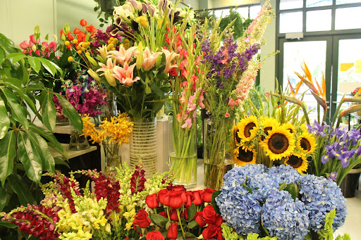 Florist «Central Square Florist», reviews and photos, 653 Massachusetts Ave, Cambridge, MA 02139, USA