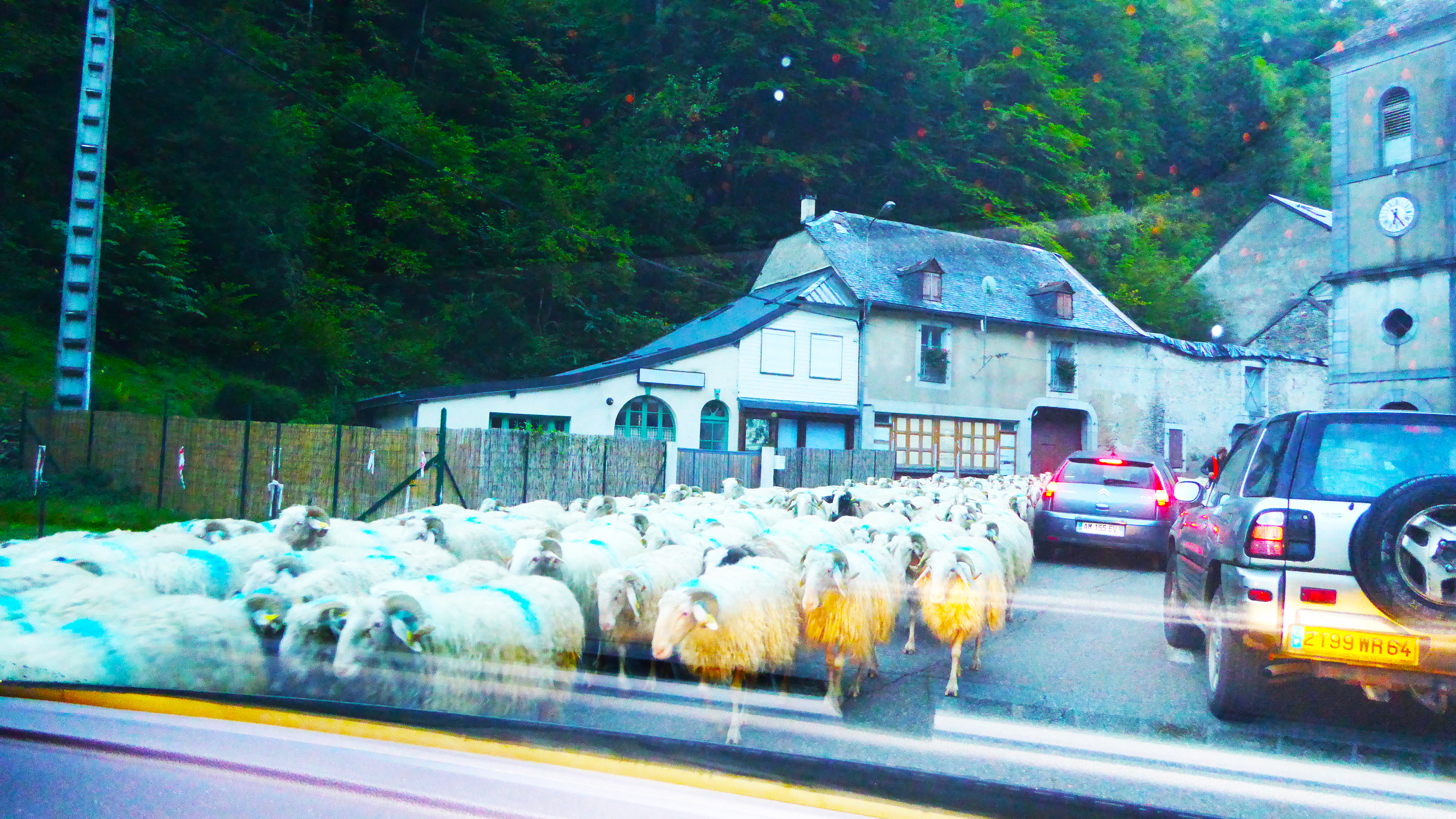 Photo n° 8 de l'avis de Christovão.l fait le 19/12/2023 à 12:33