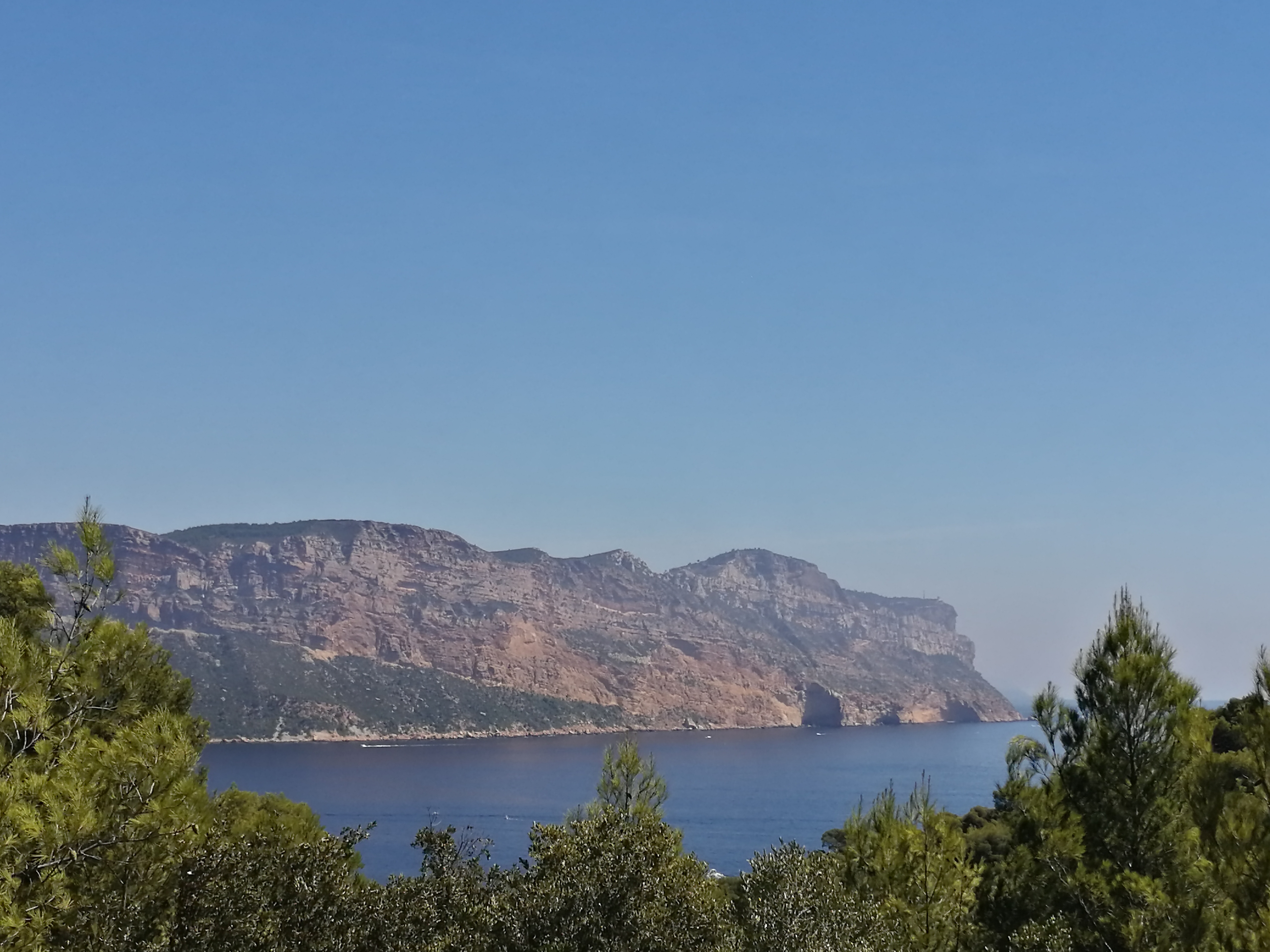 Photo n° 2 de l'avis de Noé. fait le 25/08/2020 à 23:09
