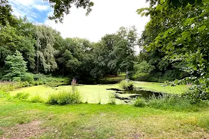 Teich im Tiergarten image
