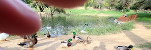Ford Park - photo 72