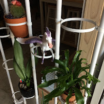 Cherry Pit Collective - Photo 5 - Car repair in Kansas City, MO, Kansas City