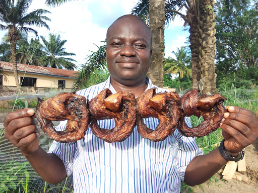 Alphakinzo Integrated Services International Ltd, Plot 4, Block 7, Agape Avenue, Akure Ilesha Rd, 340282, Akure, Nigeria, Real Estate Agency, state Ondo