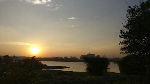 Google Maps image 12