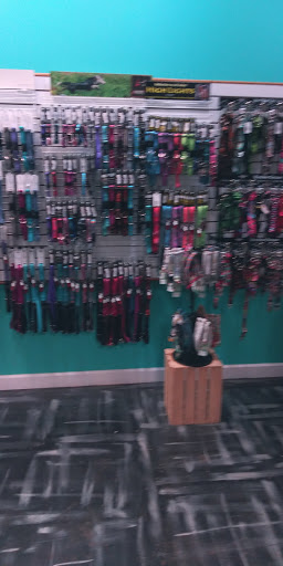 Pet Supply Store «Fuzzybutz Pet Bakery Inc», reviews and photos, 306 State St, St Joseph, MI 49085, USA