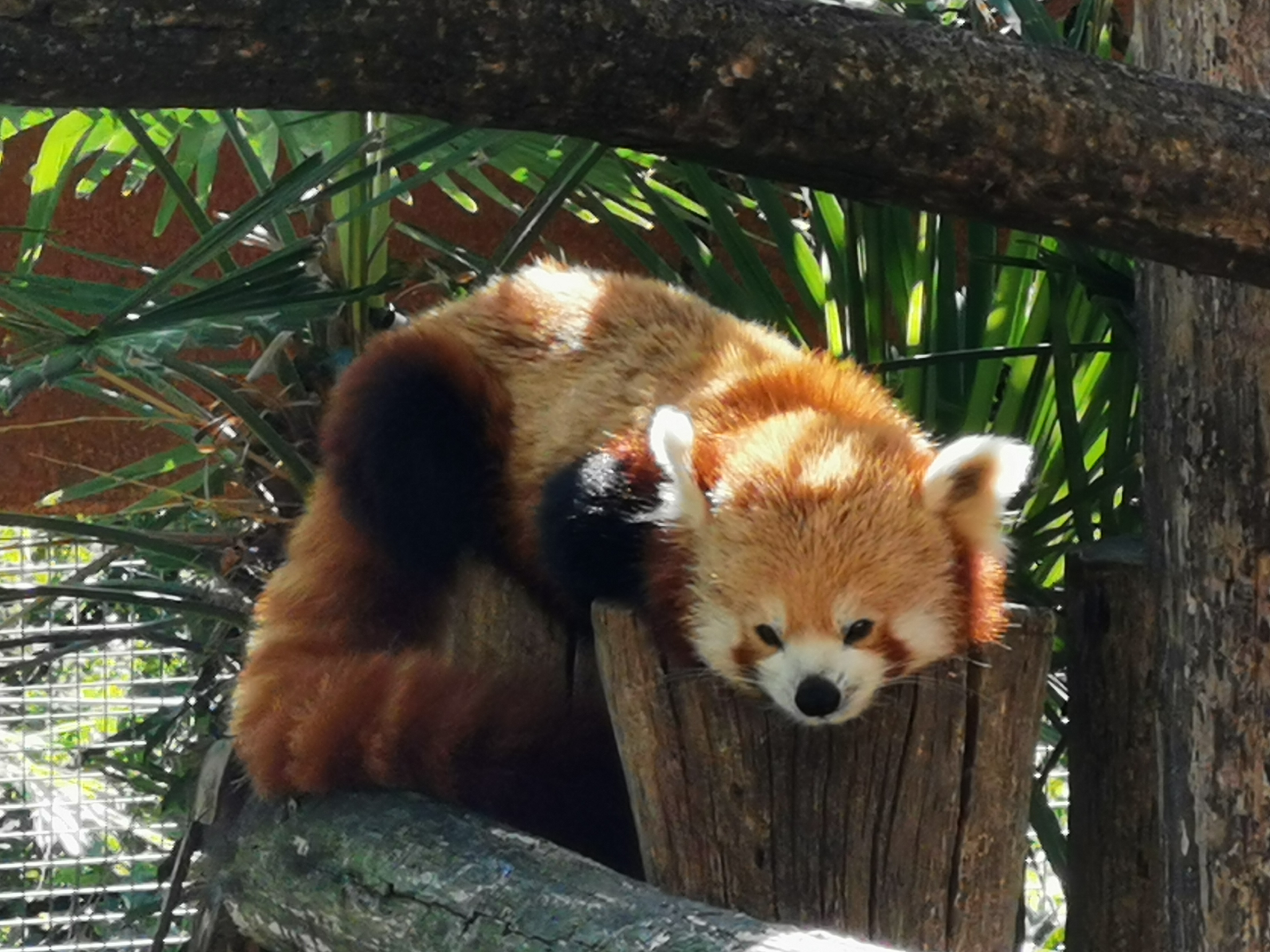 Photo n° 2 de l'avis de D. fait le 16/09/2023 à 05:12