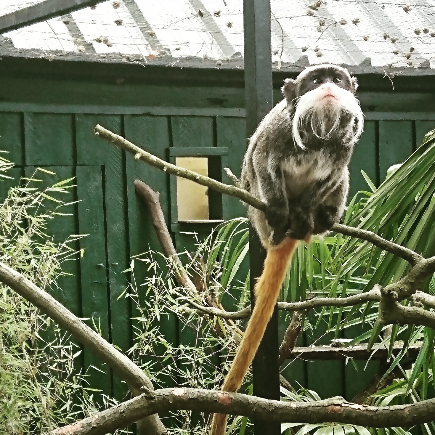 Photo n° 1 de l'avis de Pierre.o fait le 30/04/2019 à 06:23