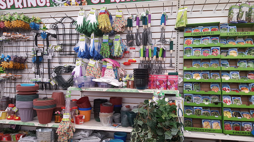 Dollar Store «Dollar Tree», reviews and photos, 1350 S Park Victoria Dr #10, Milpitas, CA 95035, USA