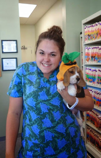 VCA Airline Animal Hospital image