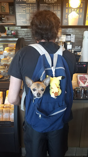 Coffee Shop «Starbucks», reviews and photos, 423 S Federal Hwy, Pompano Beach, FL 33062, USA