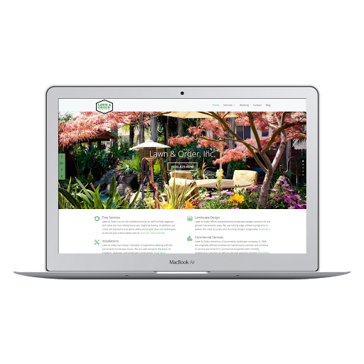 BLuE frog Web DESign image
