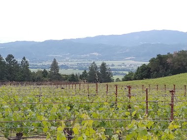 Sacrashe Vineyard