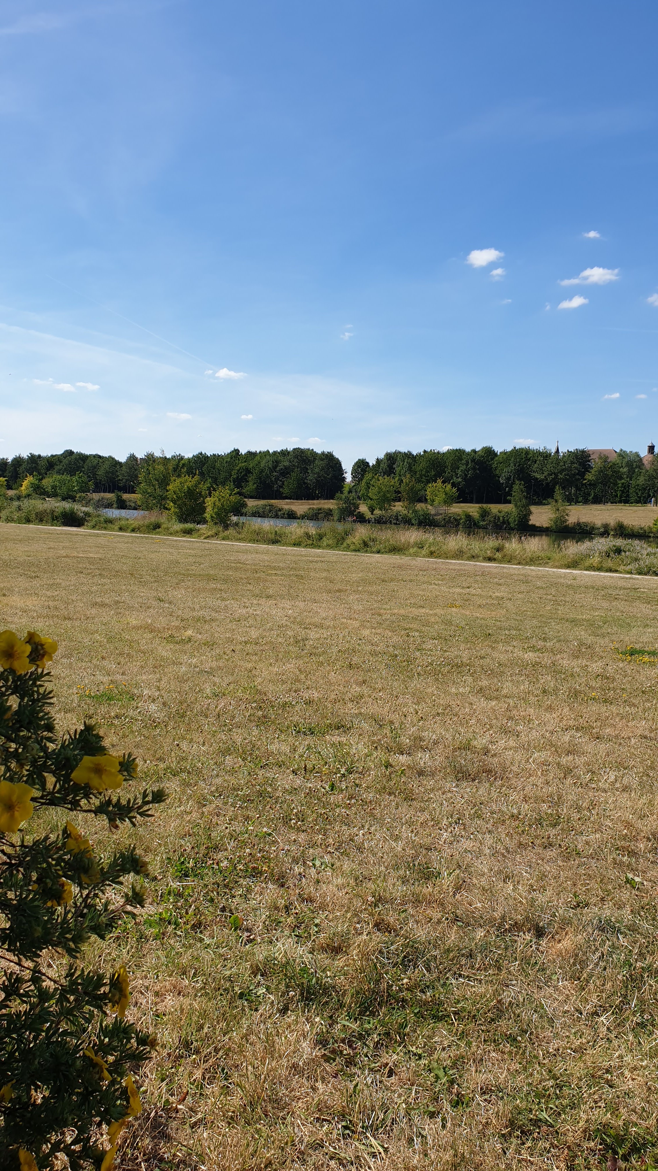 Photo n° 10 de l'avis de Fabrice.A fait le 12/07/2020 à 16:26
