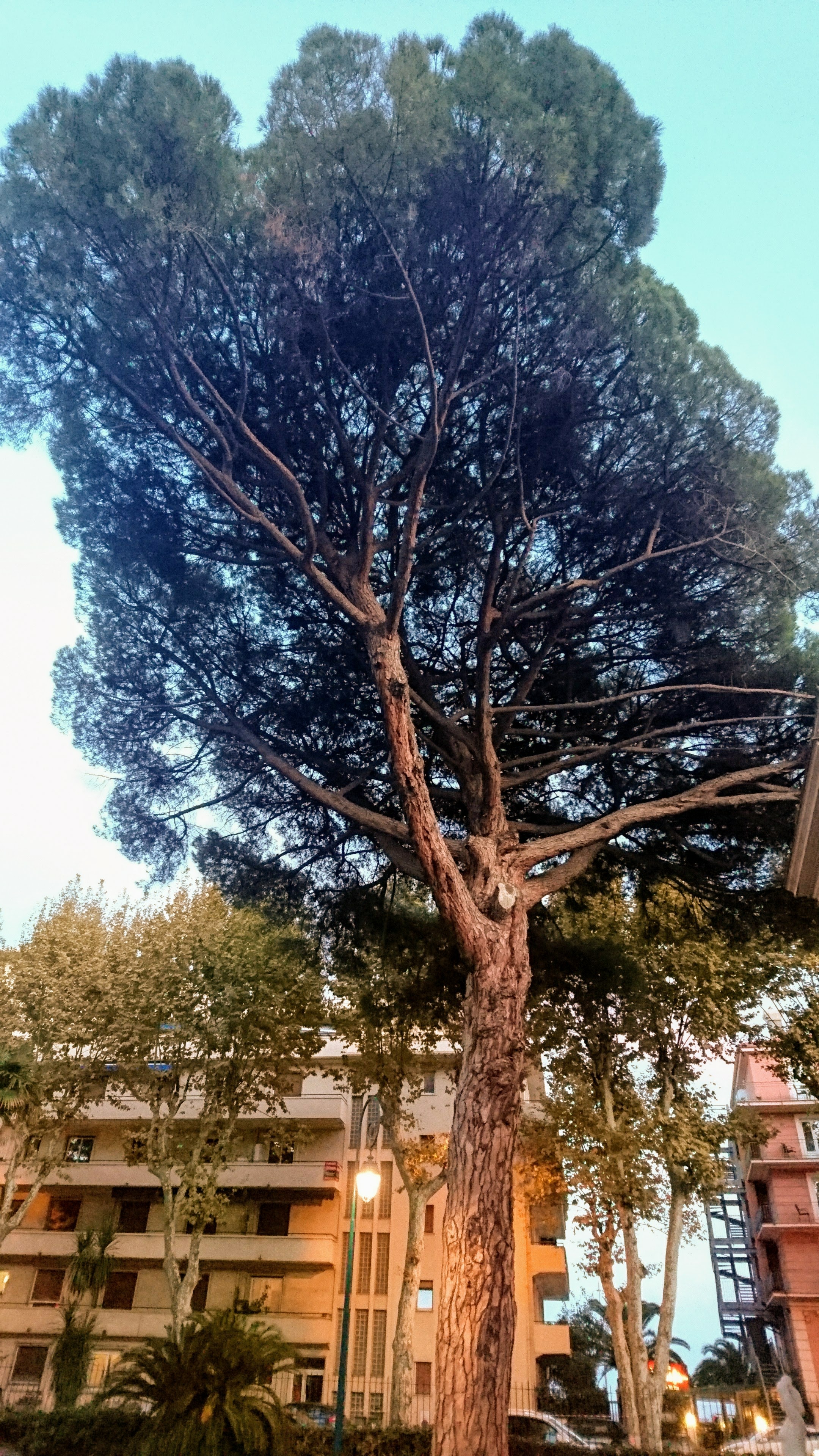 Photo n° 25 de l'avis de Sergey.o fait le 28/08/2018 à 05:31