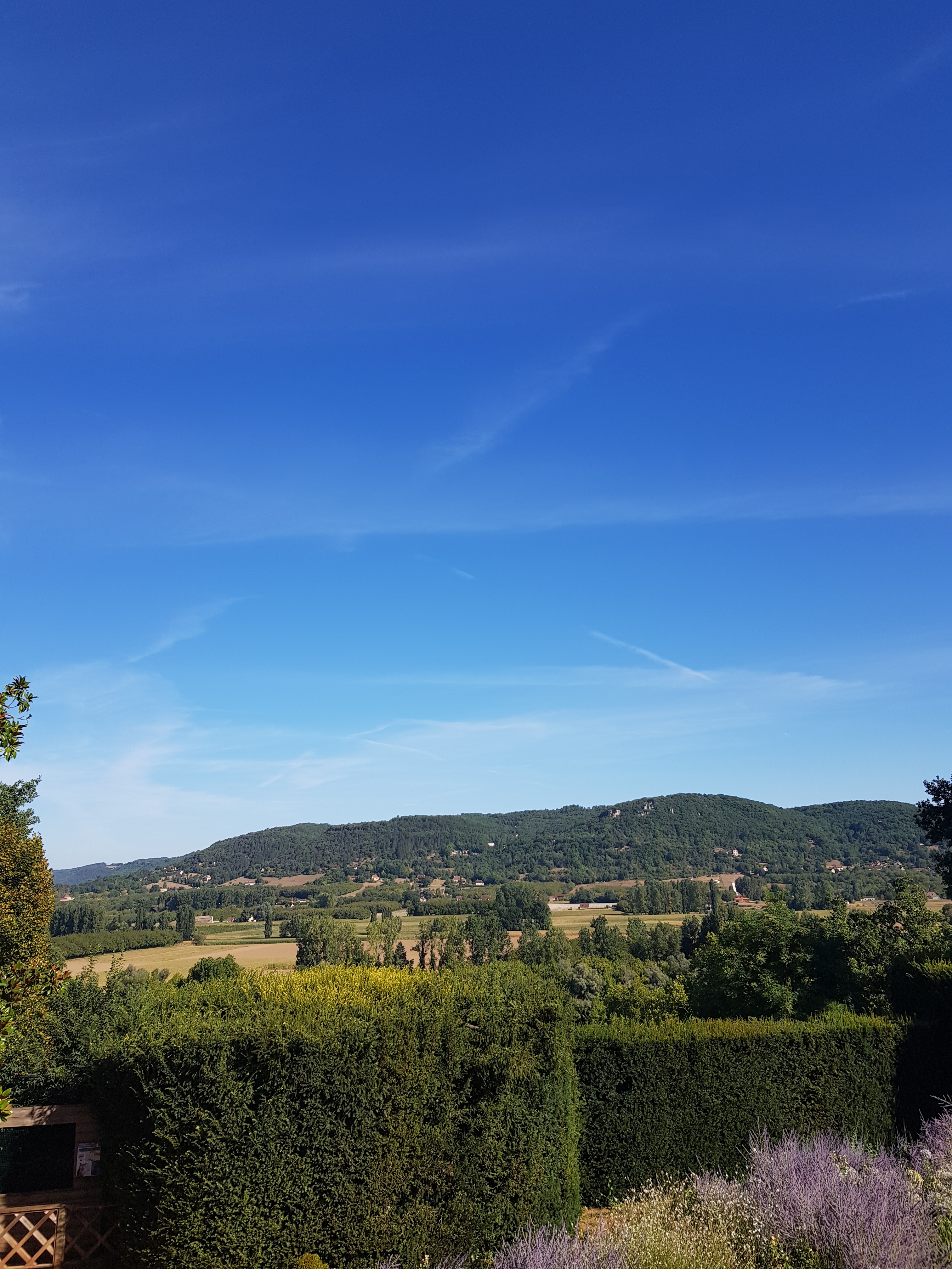 Photo n° 5 de l'avis de p. fait le 09/08/2022 à 18:37
