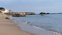 Plage de la Govelle'in fotoğrafı çok temiz temizlik seviyesi ile