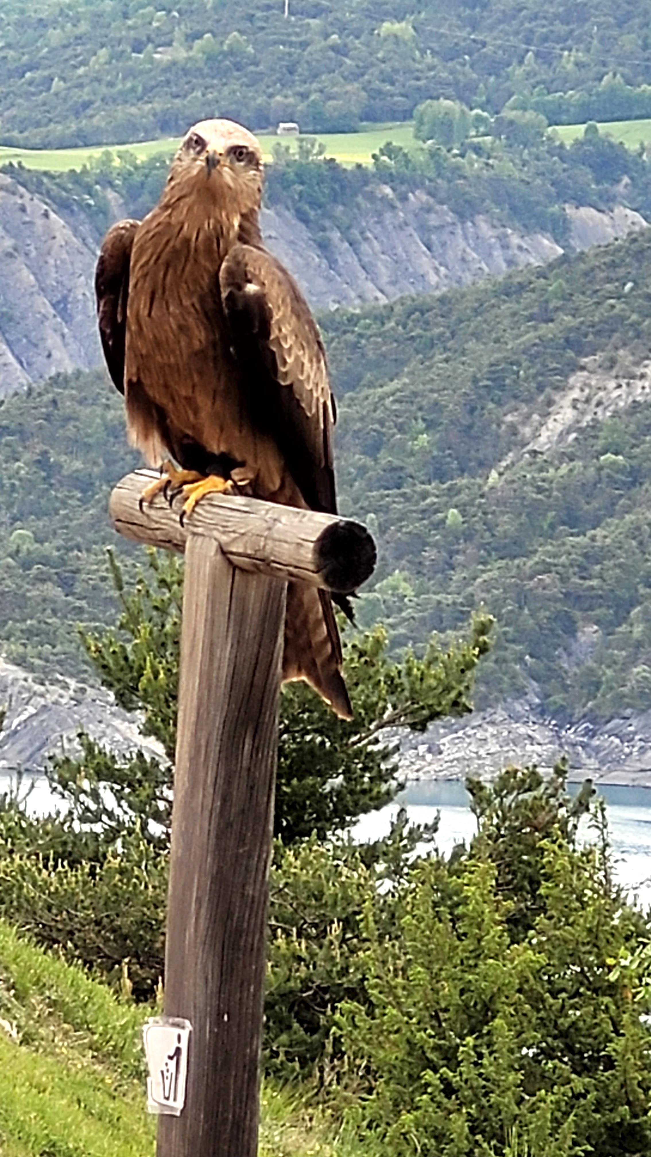 Photo n° 11 de l'avis de PASSIONS.O fait le 24/05/2023 à 09:56