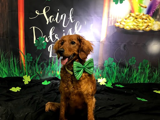 Pet Supply Store «The Hungry Puppy», reviews and photos, 1288 NJ-33, Farmingdale, NJ 07727, USA