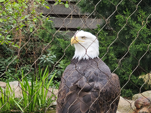 Natural History Museum «Cleveland Museum of Natural History», reviews and photos, 1 Wade Oval Dr, Cleveland, OH 44106, USA
