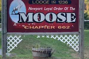 Loyal Order of Moose image