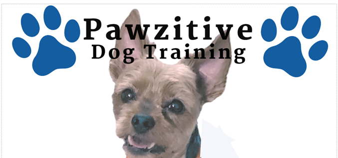 Pawsome Pet Services By Jazz