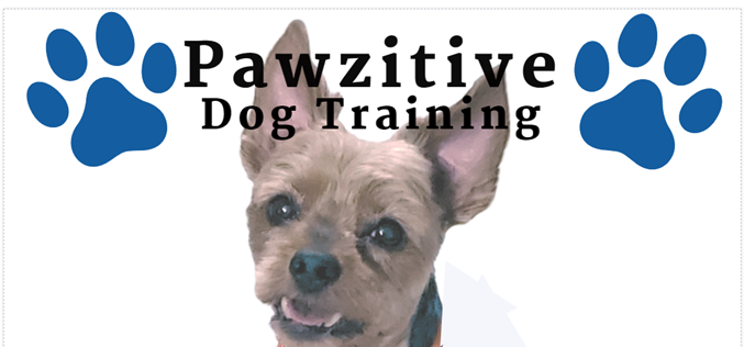 Pawzitive Dog Training LLC