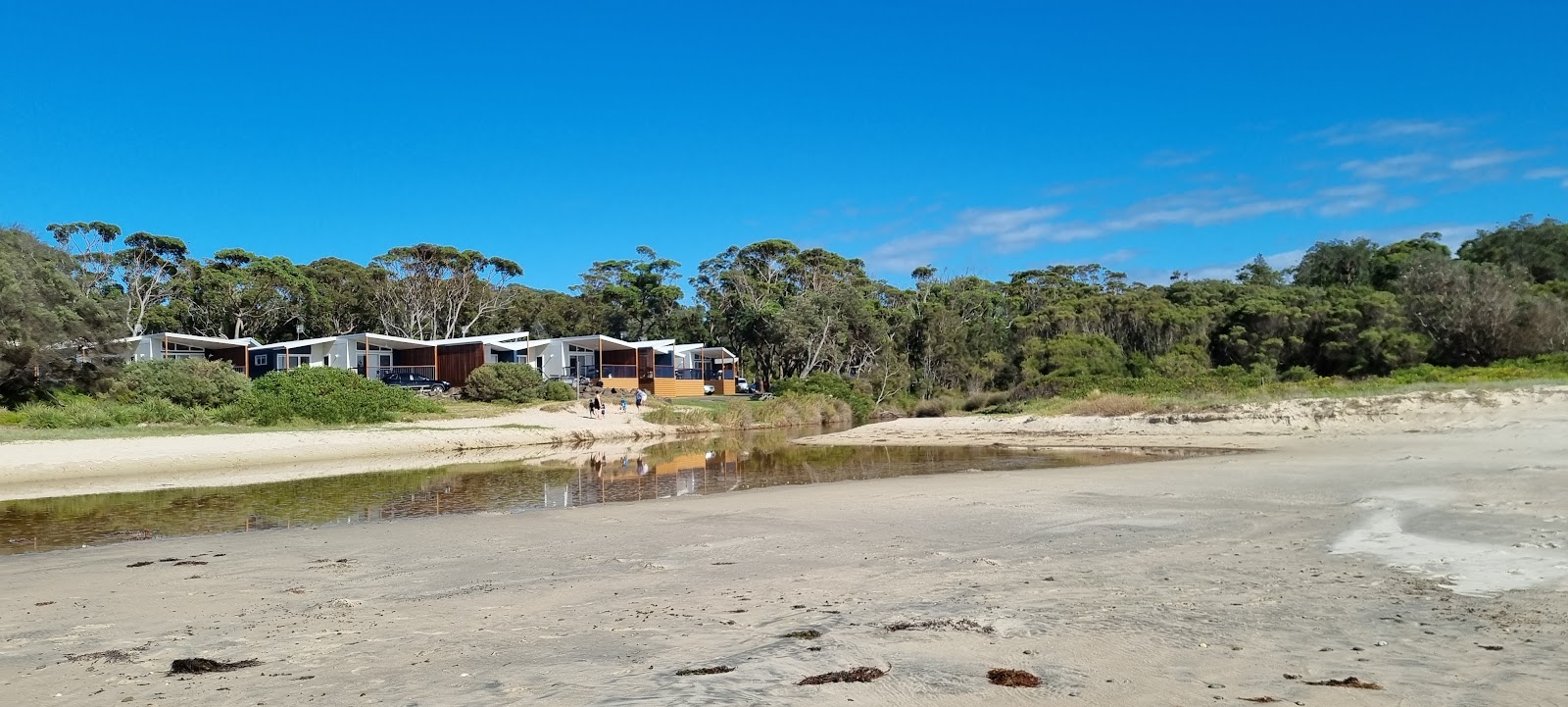 Foto de Racecourse Beach localizado em área natural