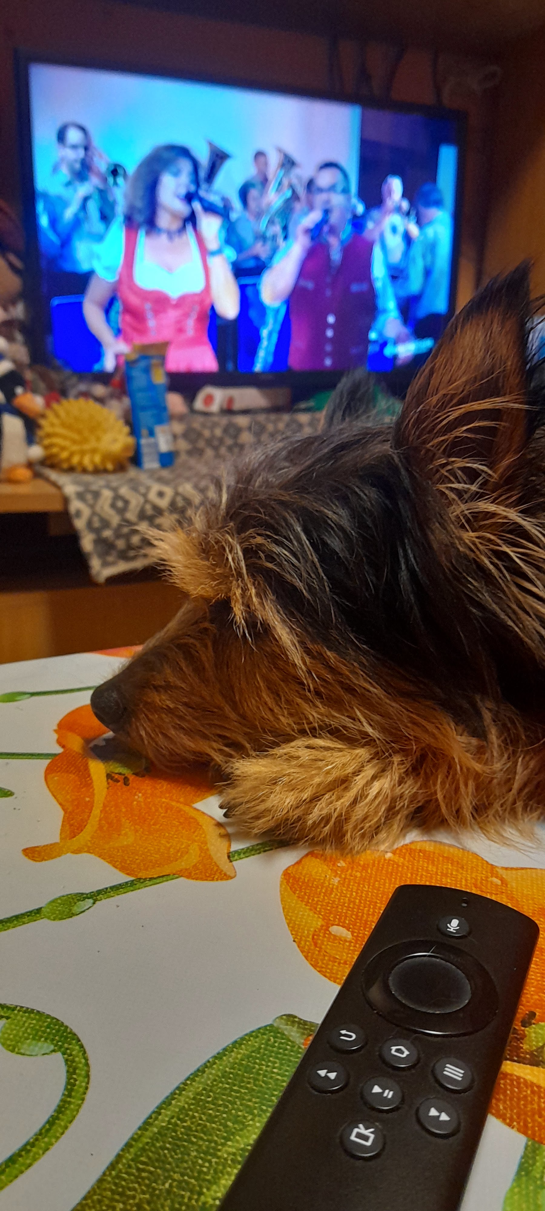 Photo n° 1 de l'avis de Victor.u fait le 11/10/2023 à 21:57
