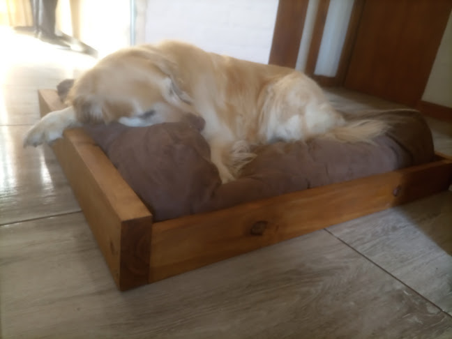 Opiniones de Vet LADRADOC en Canelones - Veterinario