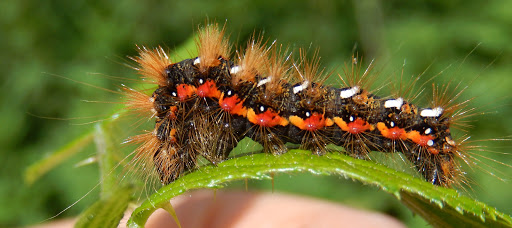 Park «Browns Point Light House Park», reviews and photos, 201 Tulalip St NE, Tacoma, WA 98422, USA