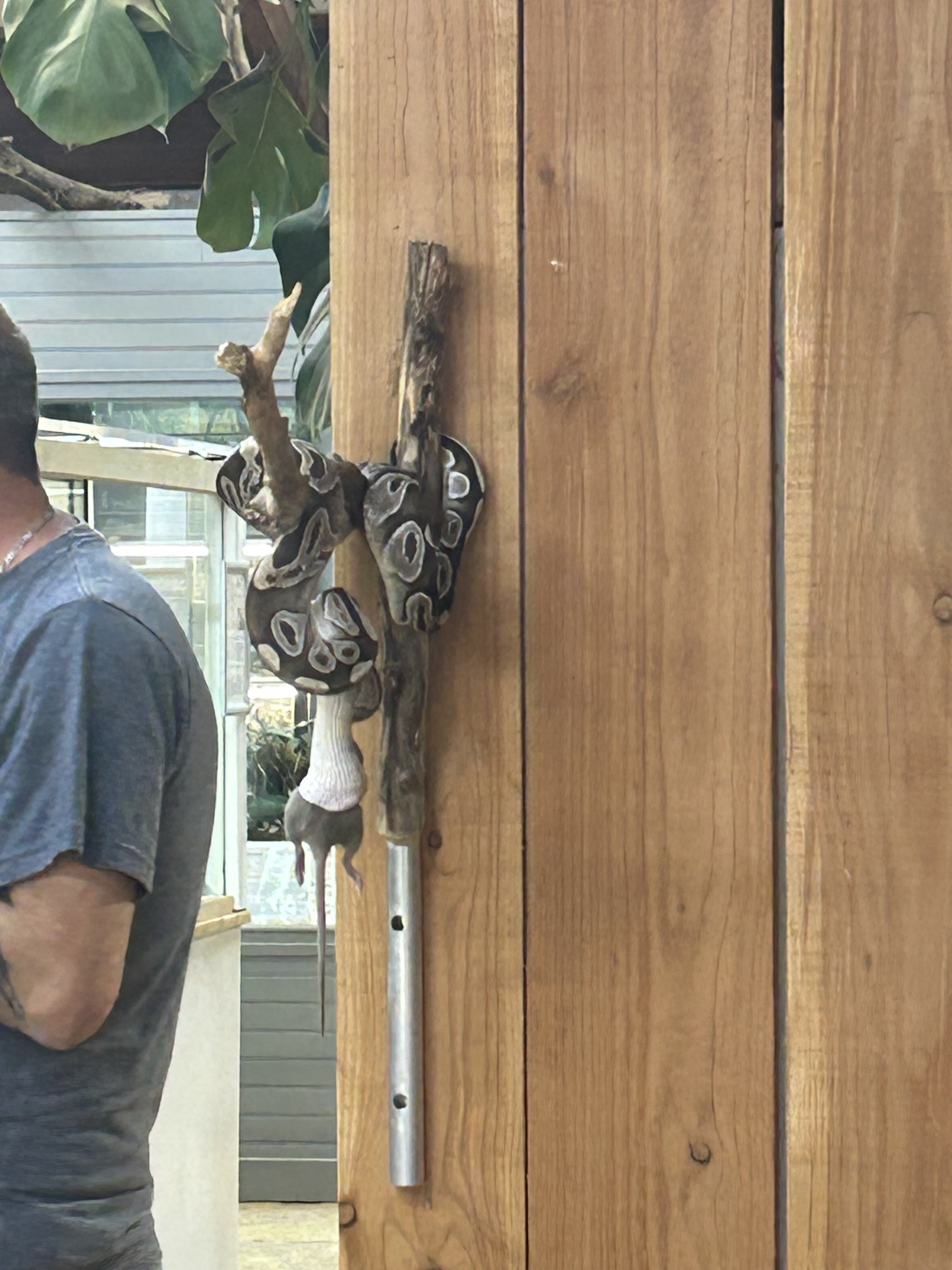 Photo n° 12 de l'avis de chloe.e fait le 26/07/2023 à 15:32