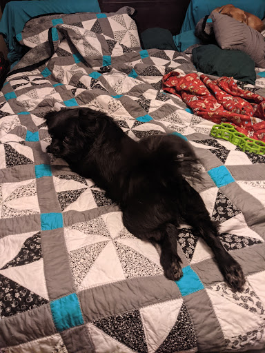 Pet Groomer «Shear Elegance Pet Boutique», reviews and photos, 918 John Marshall Hwy, Front Royal, VA 22630, USA