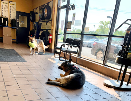 Auto Repair Shop «Wilson Tire & Auto Service», reviews and photos, 19815 Frederick Rd, Germantown, MD 20876, USA