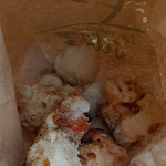 Photo n°6 de l'avis de Davide.u fait le 30/07/2021 à 11:51 sur le  La Locanda dei Camini à Botrugno