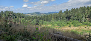 Photo n°19 de Gorges de la Canche à Roussillon-en-Morvan ()