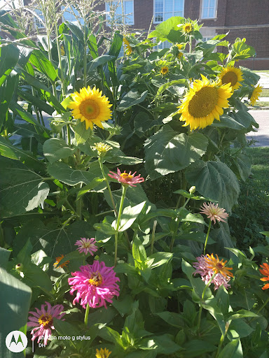 Thrift Store «Second Blessing Thrift Store Inc.», reviews and photos, 2323 Central Ave, Wichita, KS 67214, USA