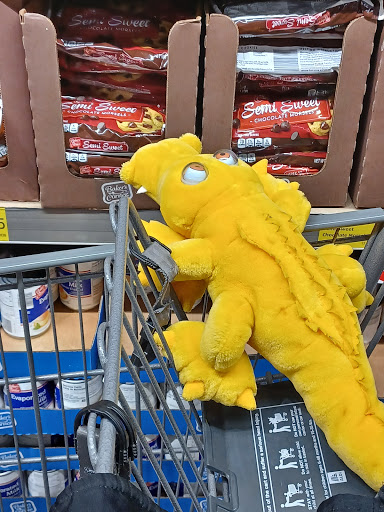 Supermarket «ALDI», reviews and photos, 3123 W South Airport Rd, Traverse City, MI 49684, USA