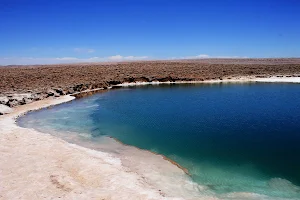 Lagunas Escondidas de Baltinache image