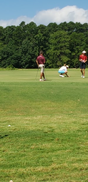 Wood Hollow Golf Club - photo 49