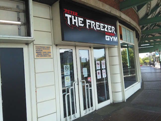 Értékelések erről a helyről: The Freezer GYM, Budapest - Edzőterem