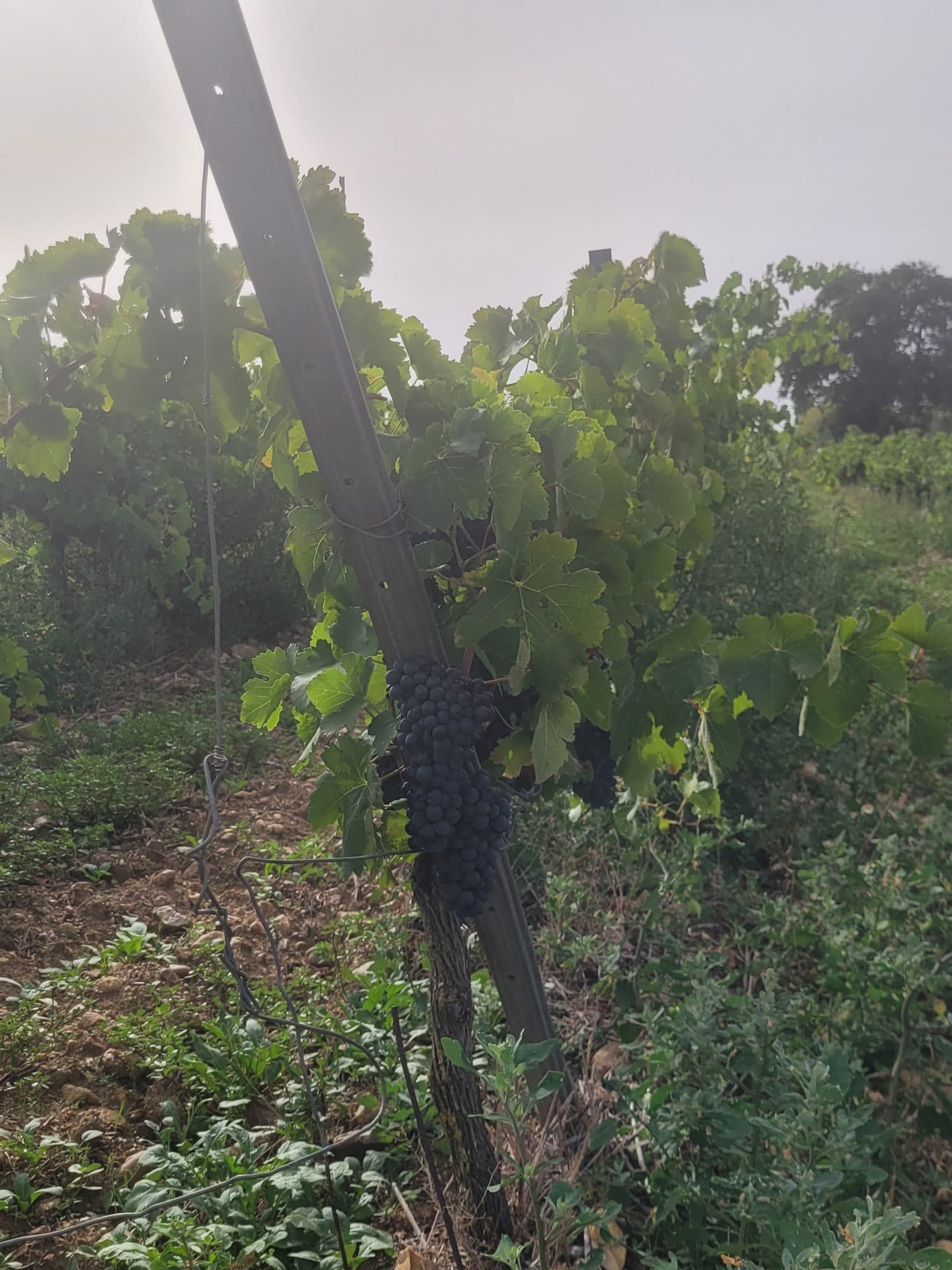 Photo n° 1 de l'avis de Paul.o fait le 10/09/2023 à 20:16