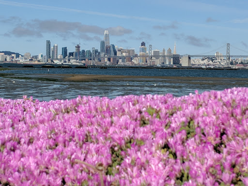 Park «Middle Harbor Shoreline Park», reviews and photos, 2777 Middle Harbor Rd, Oakland, CA 94607, USA