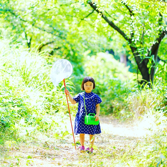 グルコミ 愛知県 写真家で みんなの評価と口コミがすぐわかるグルメ 観光サイト