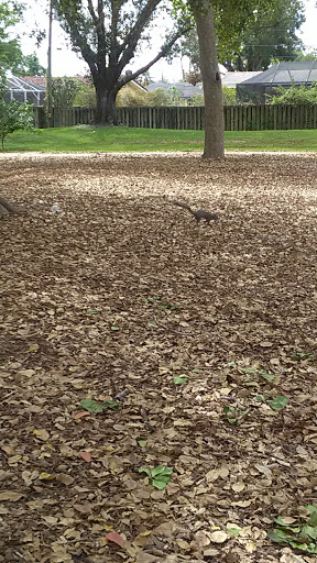 Park «Liberty Tree Park», reviews and photos, 7421 NW 5th St, Plantation, FL 33317, USA