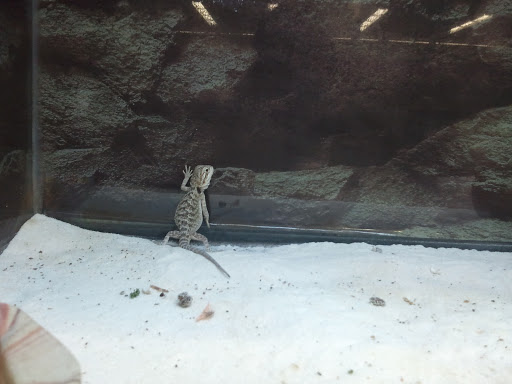 Pet Supply Store «Petco Animal Supplies», reviews and photos, 5006 NY-23 #1b, Oneonta, NY 13820, USA