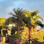 Photo n°2 de l'avis de Rimma.t fait le 28/02/2024 à 19:28 sur le  Ocean Gardens Hotel à Sao Goncalo / Funchal