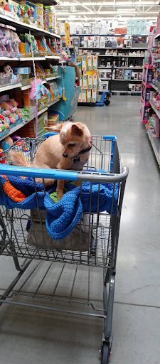 Department Store «Walmart Supercenter», reviews and photos, 2232 Gallatin Pike N, Madison, TN 37115, USA