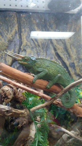 Tropical Fish Store «Fishy Business», reviews and photos, 911 E Church St, Lexington, TN 38351, USA